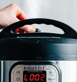 Instant Pot Hissing and Leaking Steam While Cooking