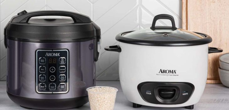 Top 7 Best Stainless Steel Rice Cookers [2024 Buying Guide]