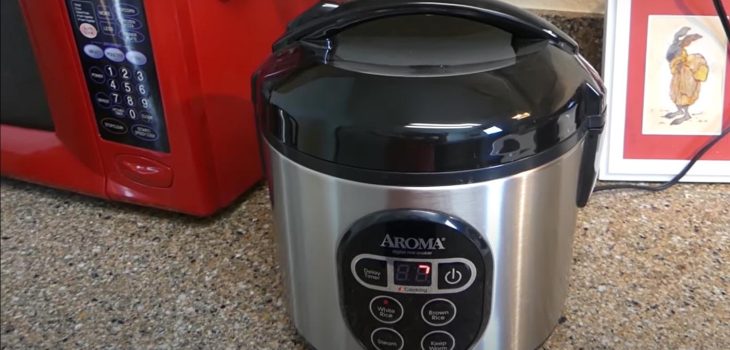 How Do Rice Cookers Know When to Stop – Quick Explained