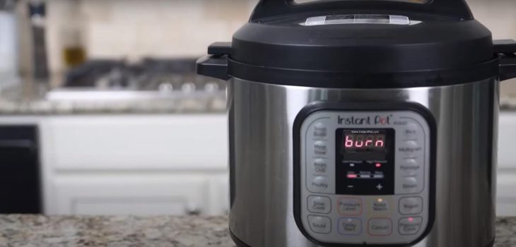 What To Do When Instant Pot Says Burn [Reasons + Fixes]